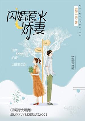 厉少的闪婚娇妻