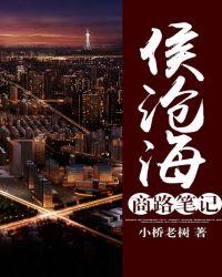 侯沧海商路笔记 epub