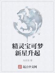 新的宝可梦叫什么