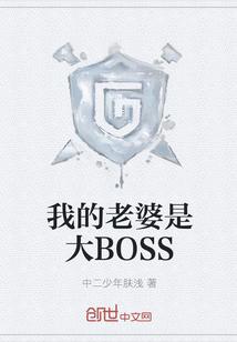 我的老婆是大BOSS中二少年肤浅TXT