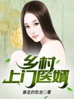 美女的上门医婿第一季