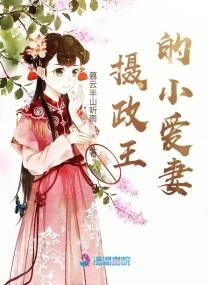 摄政王的小爱妻完整版