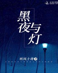 黑夜与灯光代表的动物