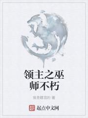 领主巫师最新章节