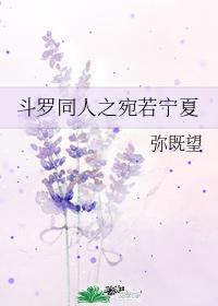 穿越斗罗大陆之宛若宁夏