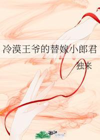 冷漠王爷的替嫁小郎君作者独来