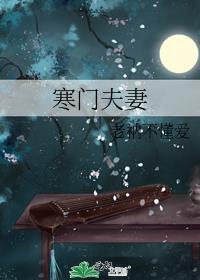 寒门夫妻正版