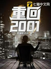 重回2001加点升级