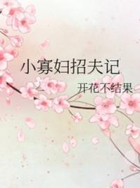 小寡妇招夫记无防盗章节