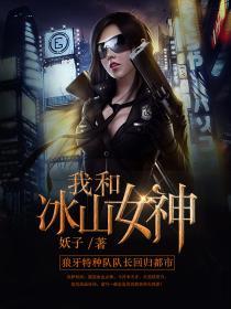 我和冰山女神警花