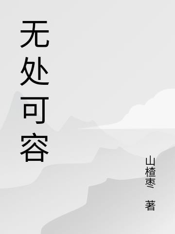 无处可容是什么意思