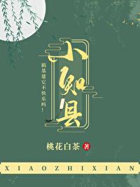 小知县桃花白茶 乐文