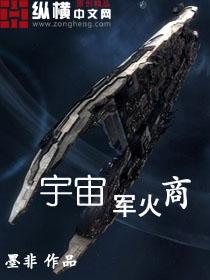 宇宙军火商txt免费