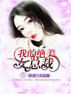 我的27岁绝美女总裁全文免费阅读