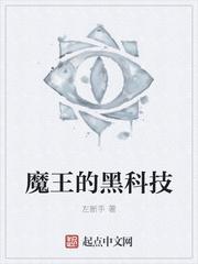 小魔王科技