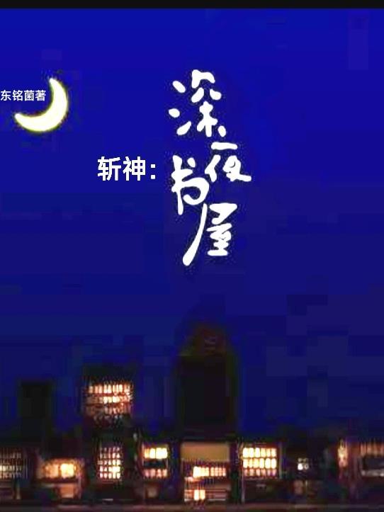 斩夜讲的什么