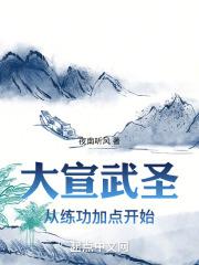 大宣武圣无防盗