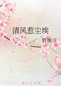 清风惹尘埃沈相灵