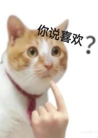 爱不起我