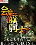 骑士与魔法免费观看完整版