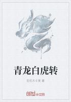 青龙白虎朱雀玄武各代表什么