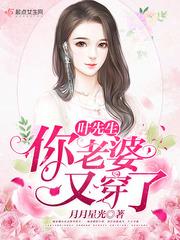 叶先生你老婆又穿了 月月星光